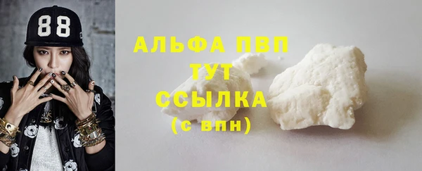 сатива Абаза