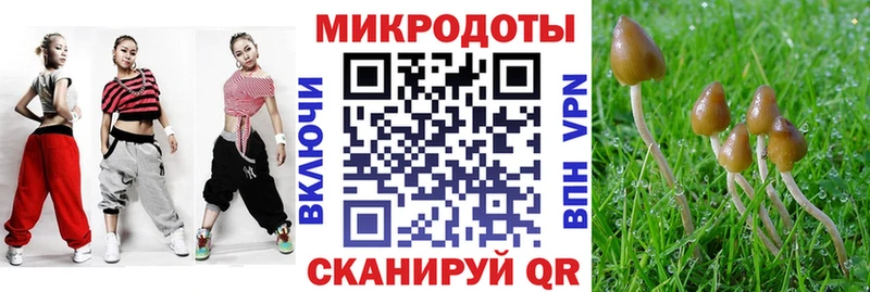 Псилоцибиновые грибы Magic Shrooms  цены   Сысерть 