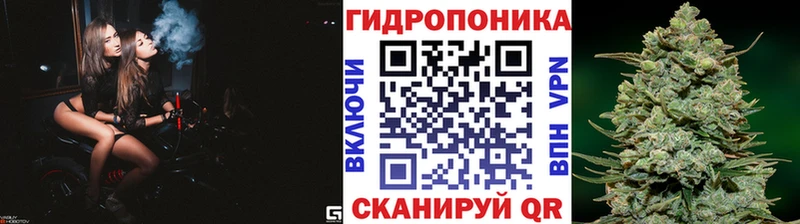 Конопля марихуана Сысерть